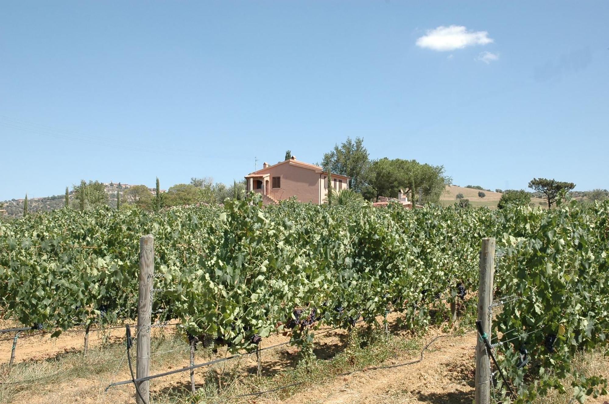 Agriturismo Pian Dei Pini Montiano  Exterior foto